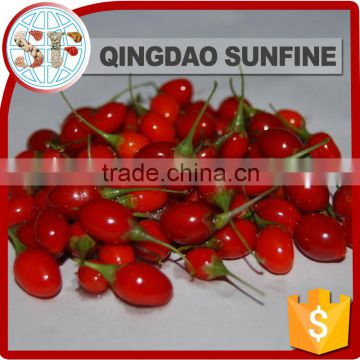 The good price new crop goji wolfberry with high quality