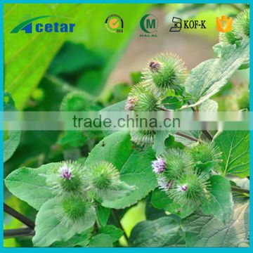 HACCP factory manufacturing herbs extract burdock oil extract anti-aging