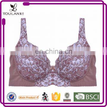 Top Selling Beautiful Hot Lady Lace Sexe / Sexi / Saxi Xxx Sexy Sexy Push Up Bra