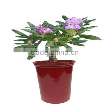 hot sale plastic durable flowerpot