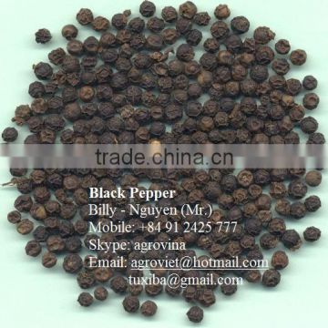 Pepper - agroviet@hotmail.com (website: intimexna)