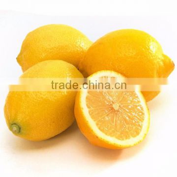 new crop Fresh Fruit Chinese lemon for export