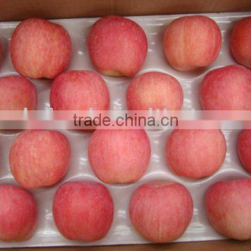 Chinese Red Fuji Apples