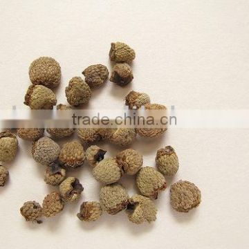 Fructus Rubi Chingii extract powder
