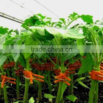 High quality red color plastic clip for agricultural grafting