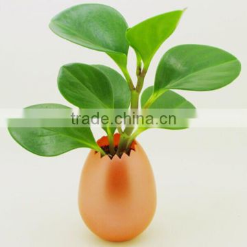 Hot Sales Newest Promotional Business Gift 2014 ABS Plastic Pot China Supplier