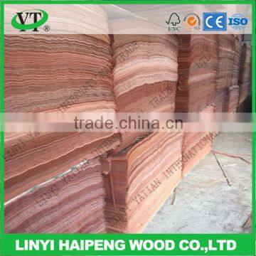 Linyi manufacture high quality A/B/C/D grade small size 4'X8' 4'X7' 4'x6' 3'X7' 3X'6' ft 0.3mm natural plb wood face veneer