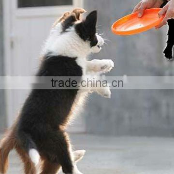 Silicone flying disc for pet