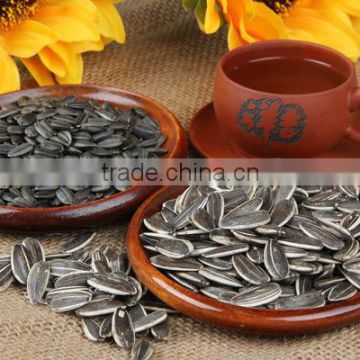 Chinese organic sunflower seeds 5009 in shell