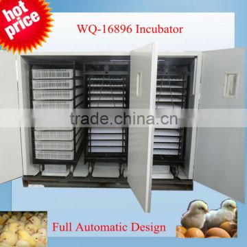 16896 eggs chick brooder full automatic chick incubator