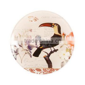 colorful nature hand painting flower bird insects porcelain bone china oval showing ceramic show plates