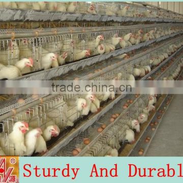 High quality cheap poultry cage layer chicken cage