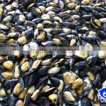 seafood frozen boiled mussel meat with halfshell