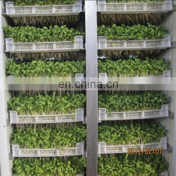 Water recycling use automatic bean sprout machine