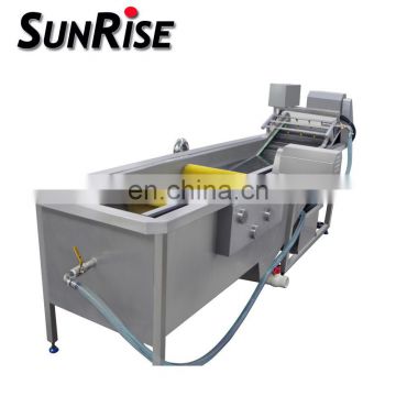 Stainless steel industrial fruit washing equipment
