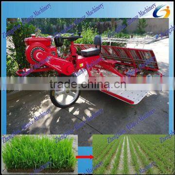 Asian market hot sale paddy rice planter