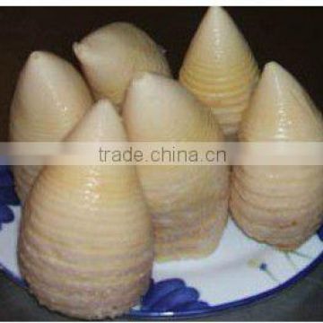 2012 Crop canned bamboo shoot READY SELLER!!