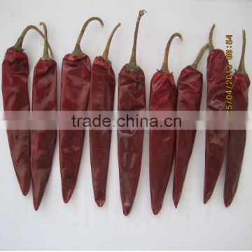 2013 hot selling red chili pepper- jinta chili