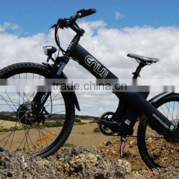 Seagull,cheap mountain bike electric 500w