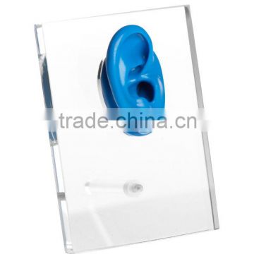 Soundlink Hearing aid accessories of Acrylic Ear Displays with silicone display ear