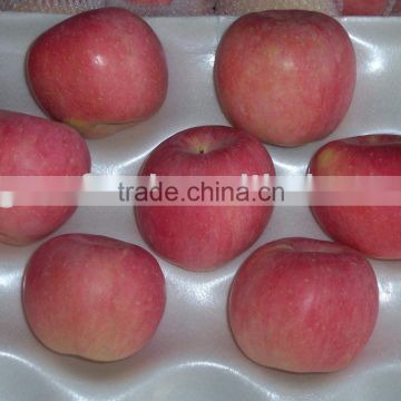 chinese apple
