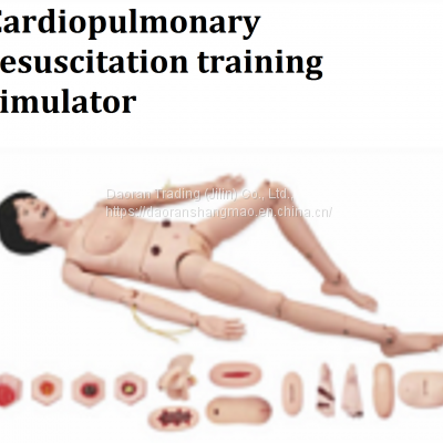 Training simulator / CPR simulator / CPR first aid training / CPR training