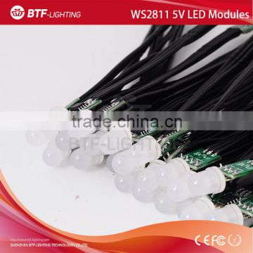 ws2811 led modules non-waterproof 5v Black wire