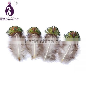 pheasant peacock feathers,green gold peacock plumage feathers                        
                                                Quality Choice