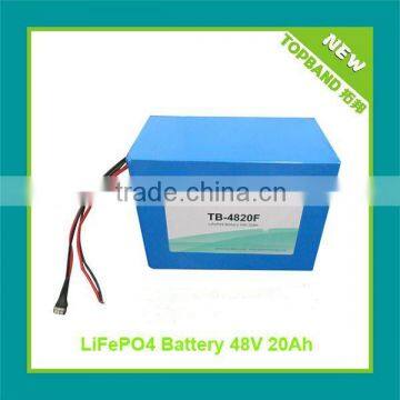 Top Selling Lifepo4 48v Battery Pack with BMS Protection + Charger