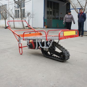 Motor WHEELBARROW with single pedrail cart