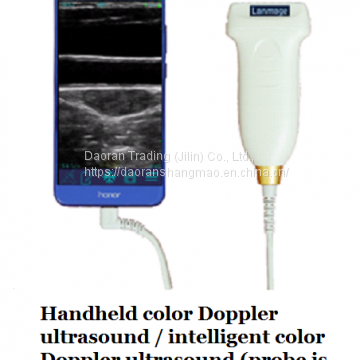 Handheld intelligent ultrasonic diagnosis system