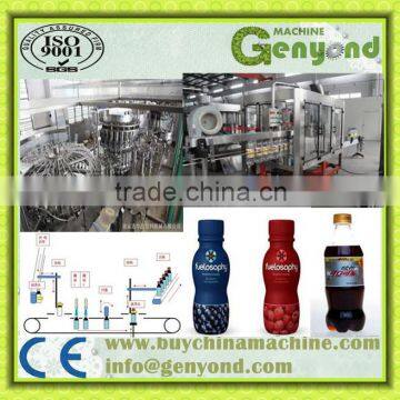 Complete Fruit Juice Production Line