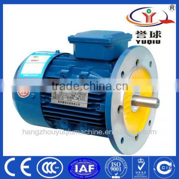 IE2 High Efficiency Three Phase Electric Motor