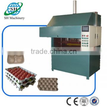 best quality fruit tray machine for sale