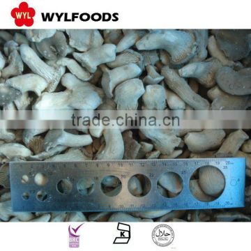 machines for Frozen baby oyster mushroom China brands