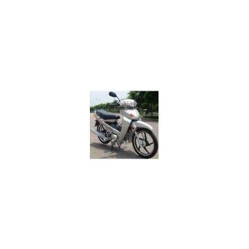 110cc CUB motorcycle EI110-2