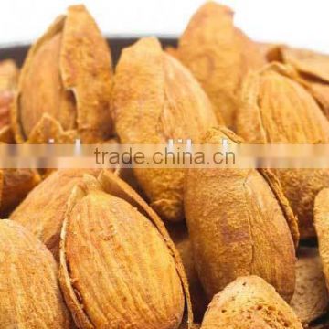 delicious and healthy Raw Almonds Nuts