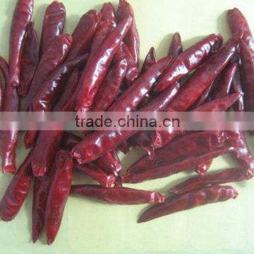 Tianying red Chili