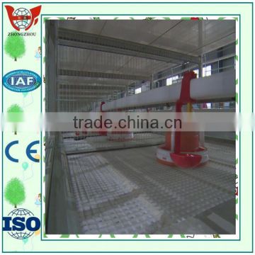 smaill chicken cages/H line/four lays