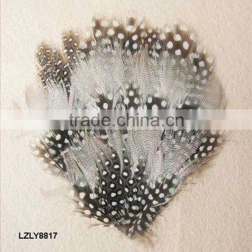 Guinea Fowl mixed feather pad LZLY8817