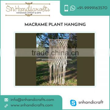Accurate Dimension Compact Size Macrame Plant Hangers Price