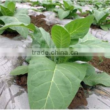 LDPE Agriculture Covering Film