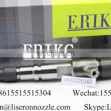 ERIKC 0 445 120 163 fuel injector 0445120163 common rial nozzle injection 0445 120 163 ( G5A1001112100A38 ) for YUI-CHAI