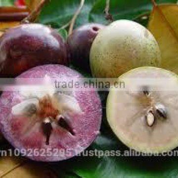 Star Apple/Fresh Star Applle/Sweet Star Apple