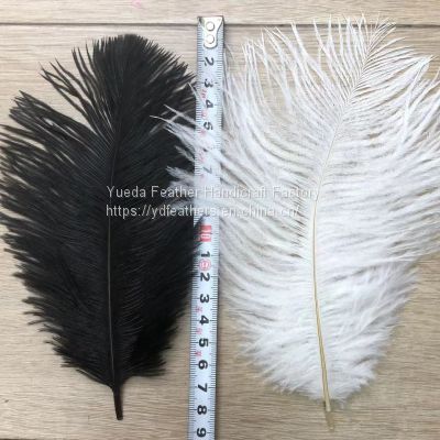 Ostrich Feather/Plume For Wholesale From China