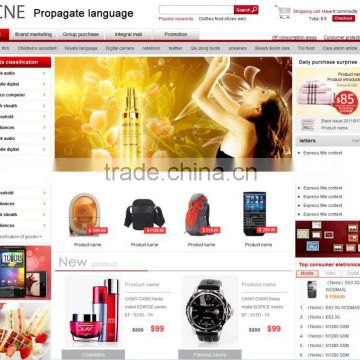professional alibaba ecommerce website design ecommerce