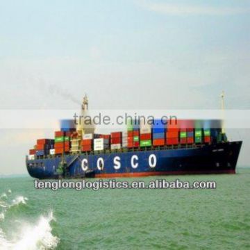 offer ocean freight and CIQ agent to Port Suez of Egypt from China Shenzhen Guangzhou Shanghai