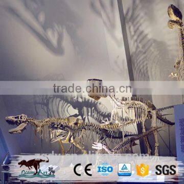Life-Size Jurassic Park Dinosaur Fossil