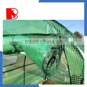 Focus garden tunnel dome, high quality greenhouse for sale