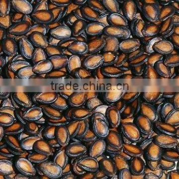 Chinese low moisture black watermelon seeds with good quality